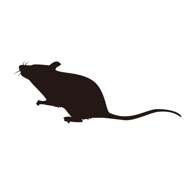 ネズミが発生 侵入しやすい場所と駆除 対策方法についてご紹介 神戸 大阪 京都 ゴキブリ ネズミ害虫害獣駆除 太洋化工株式会社